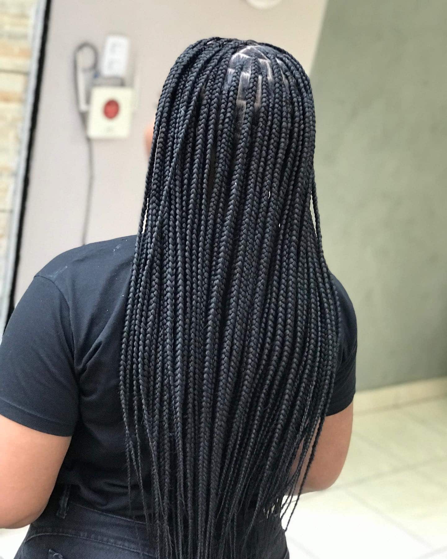 5. Waist-Length Small Box Braids in Natural Black - Twist Braid Hairstyles