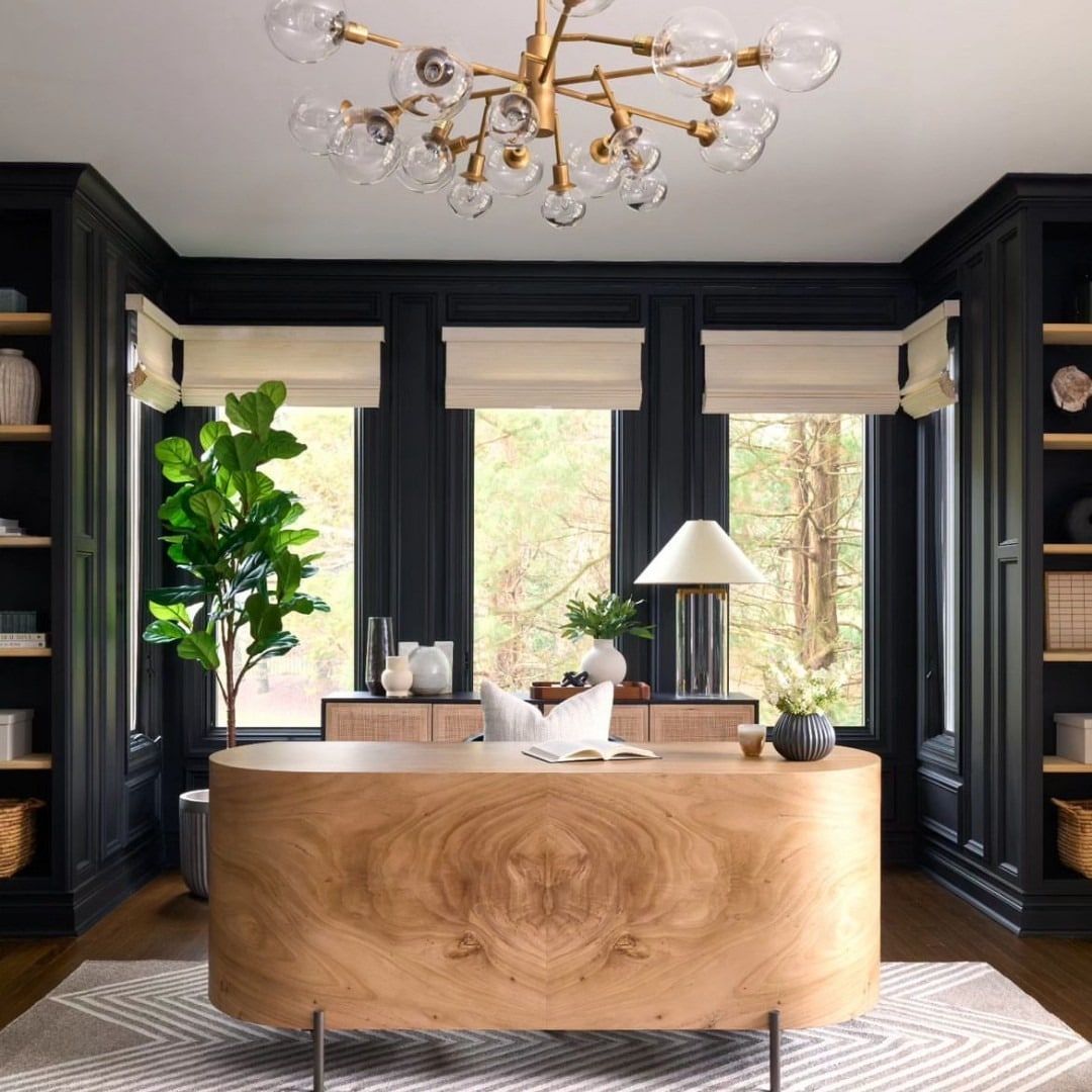 6. Natural Curves with Bold Backdrop - office design ideas