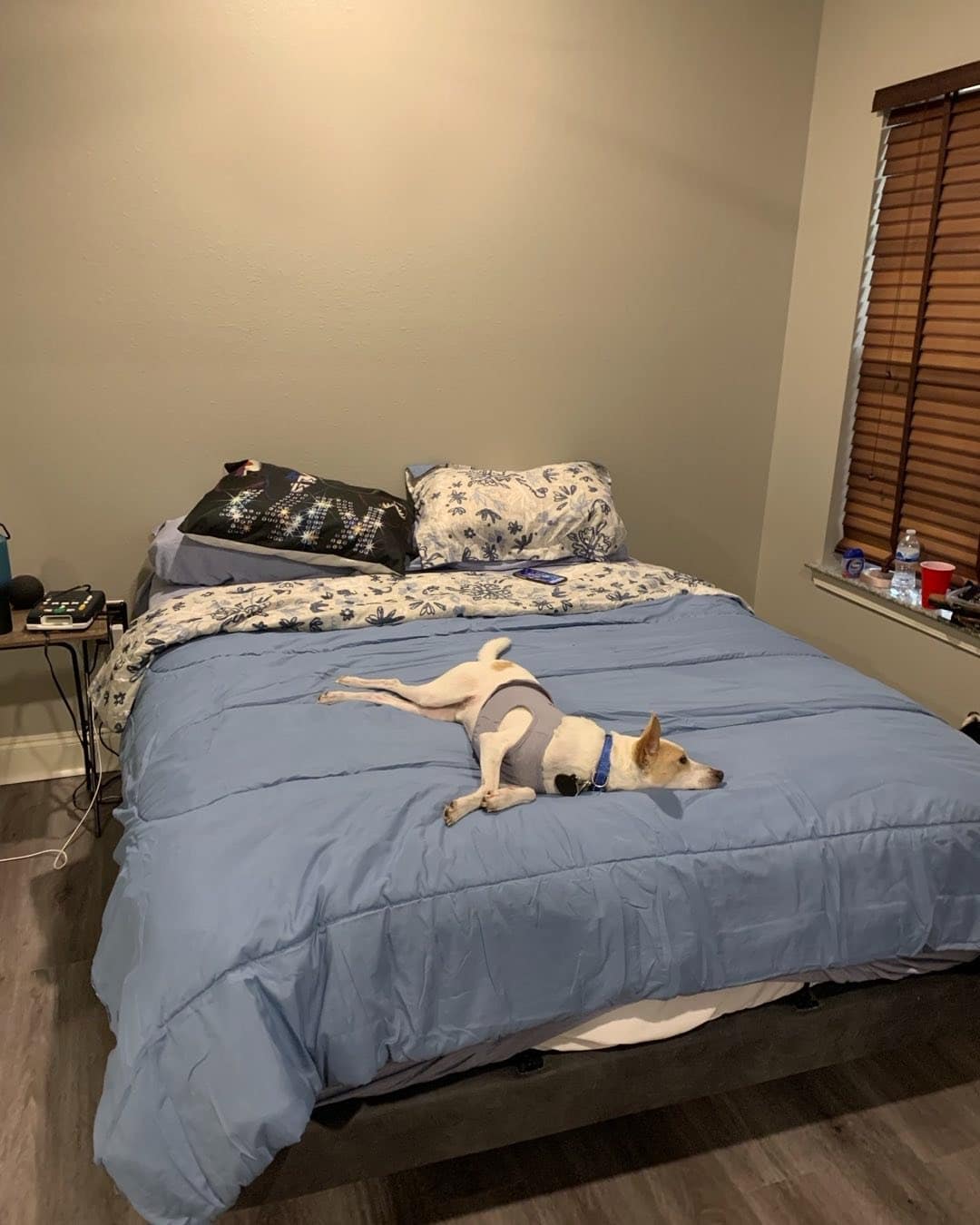 12. Relaxed Everyday Comfort - blue and gray bedroom ideas