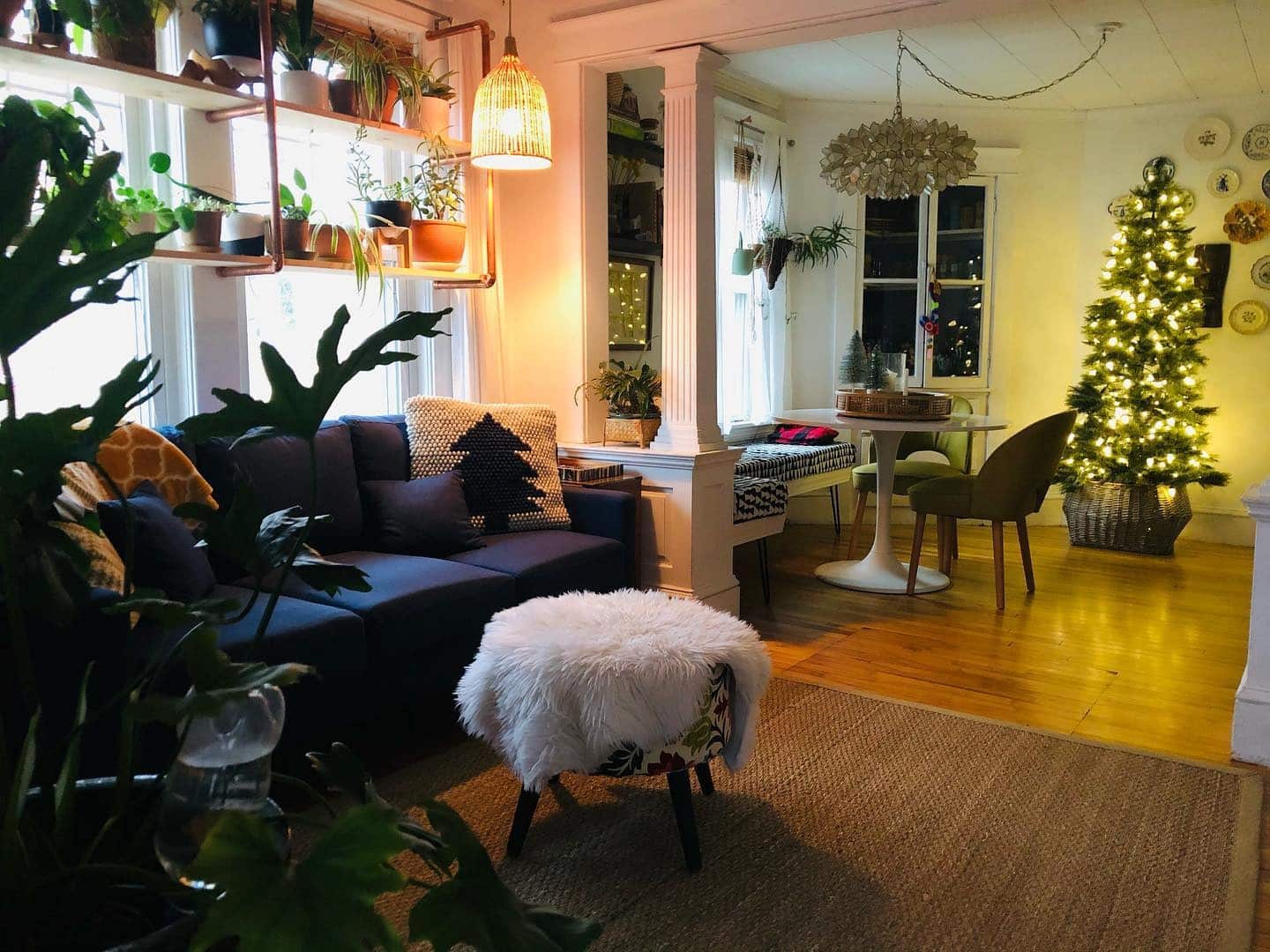 14. Eclectic Greenery with Cozy Charm - navy blue couch living room ideas