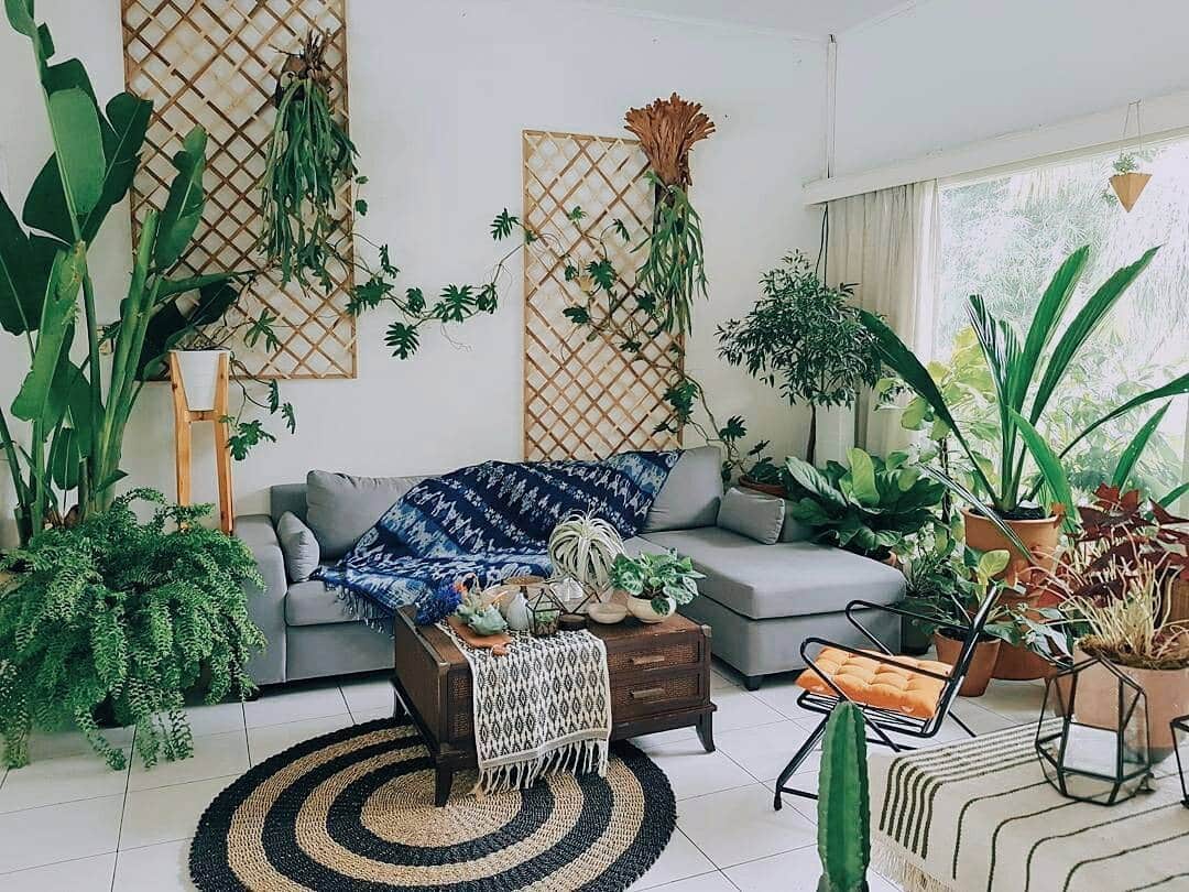 13. Botanical Retreat with Casual Vibes - living room ideas with indoor plants