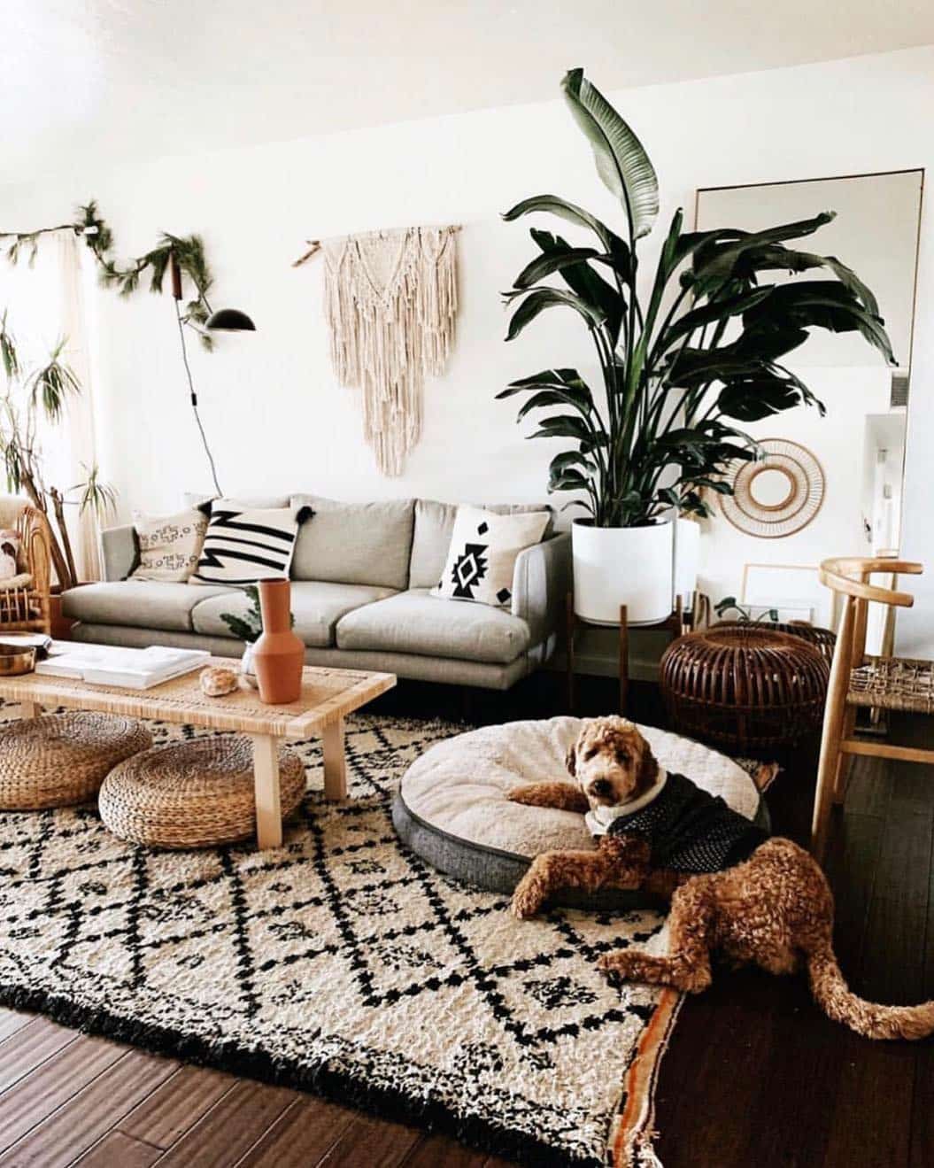 16. Bohemian Living with Textured Layers - living room ideas with indoor plants