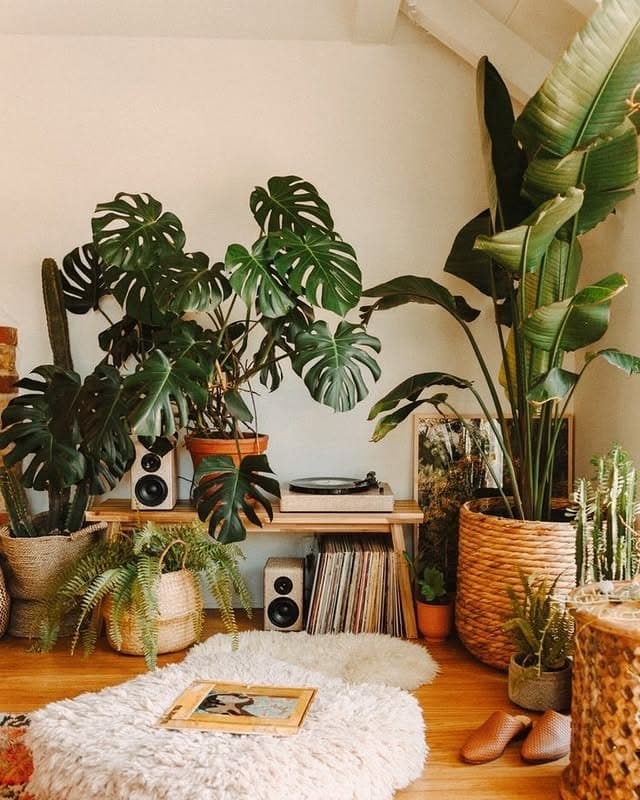 19. Retro Corner with Bold Plants - living room ideas with indoor plants