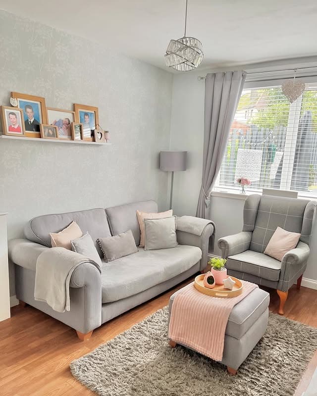 17. Cozy Classic in Gray and Blush Accents - small living room ideas