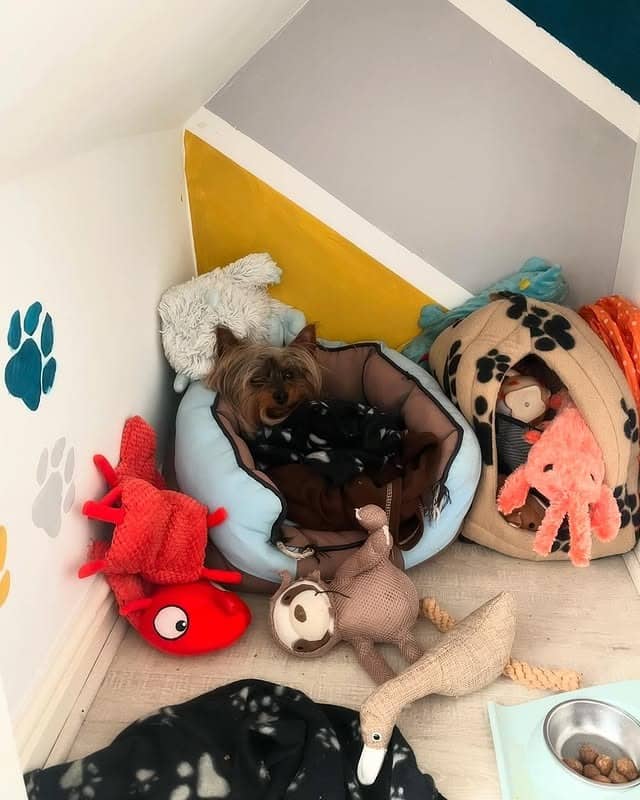 1. Playful Corner Retreat in Soft Blue and Mustard - dog bedroom ideas