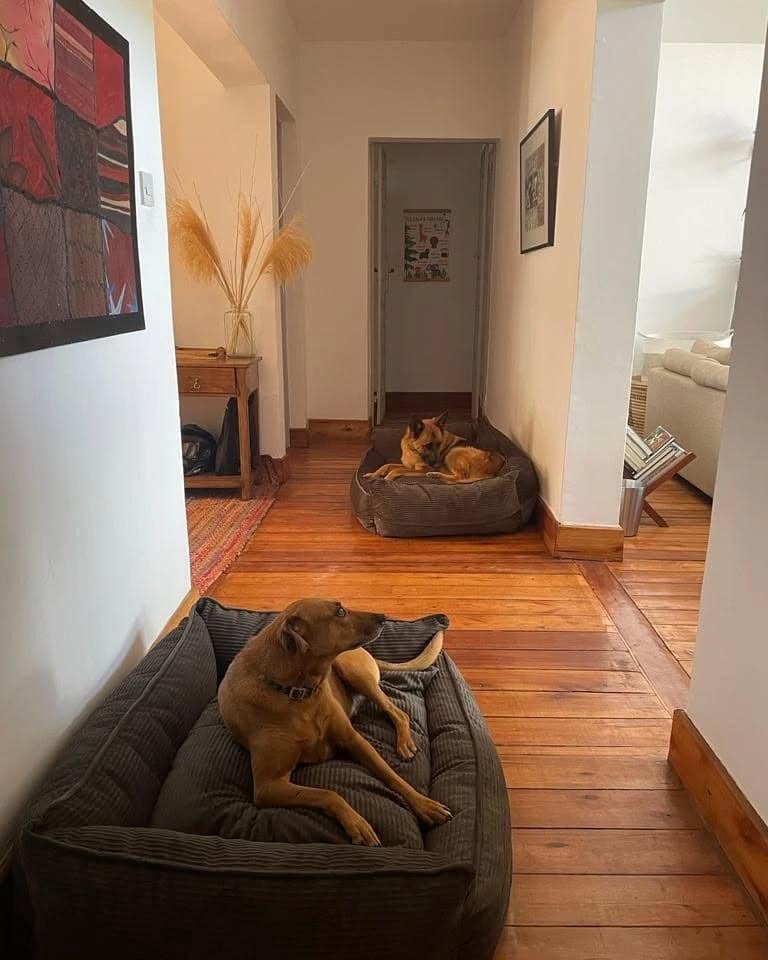 7. Dual Lounge Corridor Setup in Rustic Browns - dog bedroom ideas