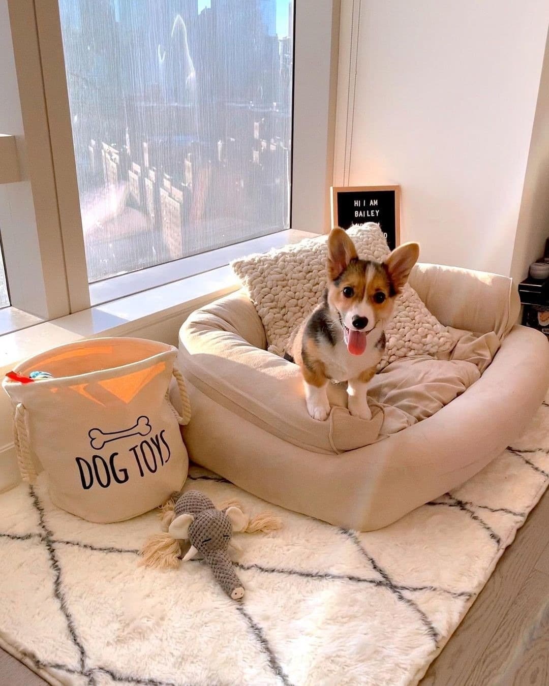 10. Sunlit City Nook in Cream and Gold Accents - dog bedroom ideas