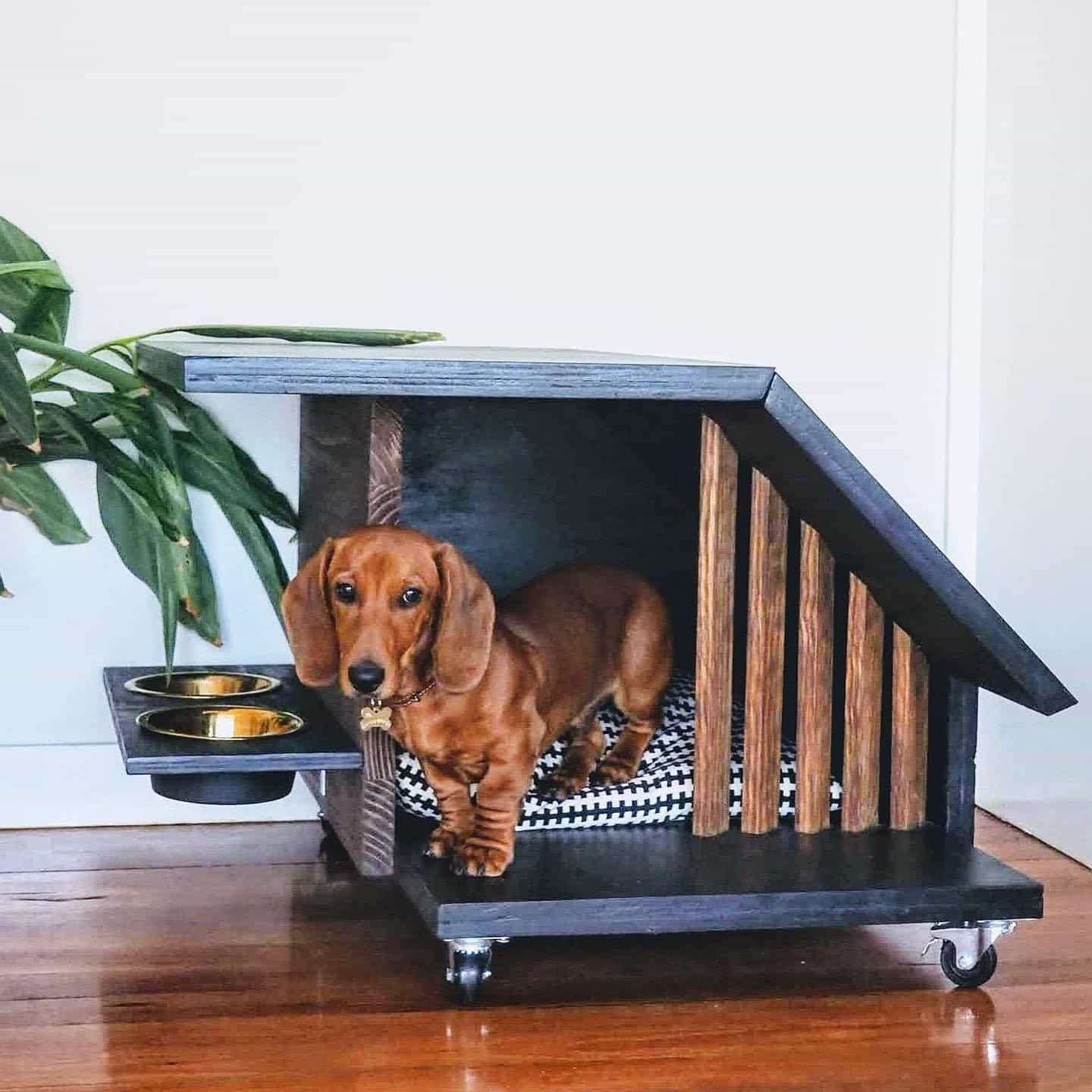 12. Contemporary Dog Cabin with Warm Wood and Matte Black - dog bedroom ideas