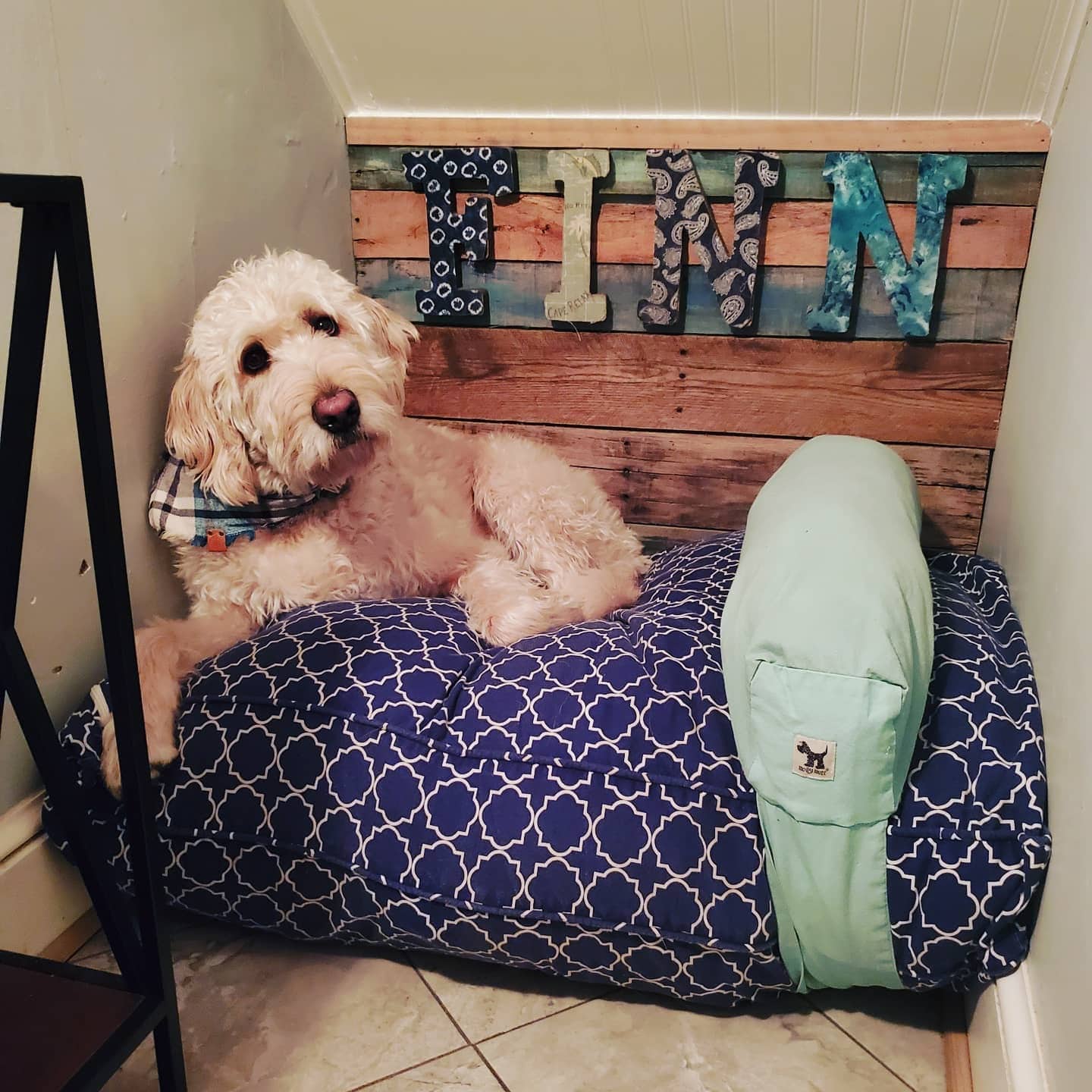 16. Rustic Pet Corner with Navy and Teal Details - dog bedroom ideas