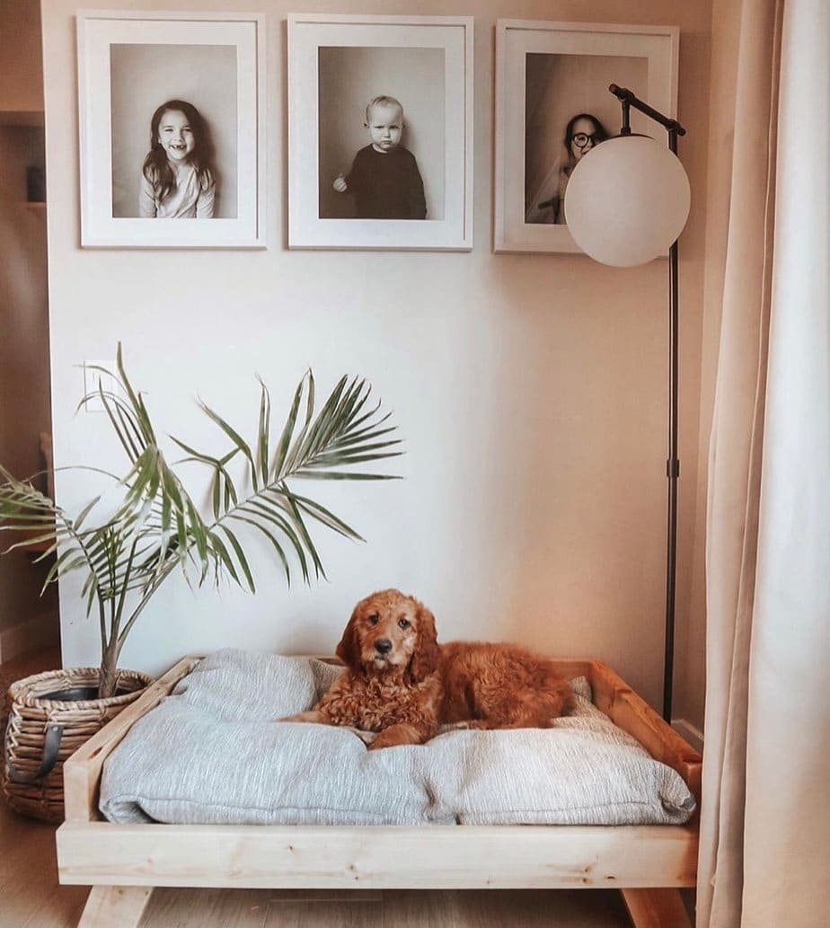 17. Scandinavian-Inspired Raised Bed in Soft Neutrals - dog bedroom ideas
