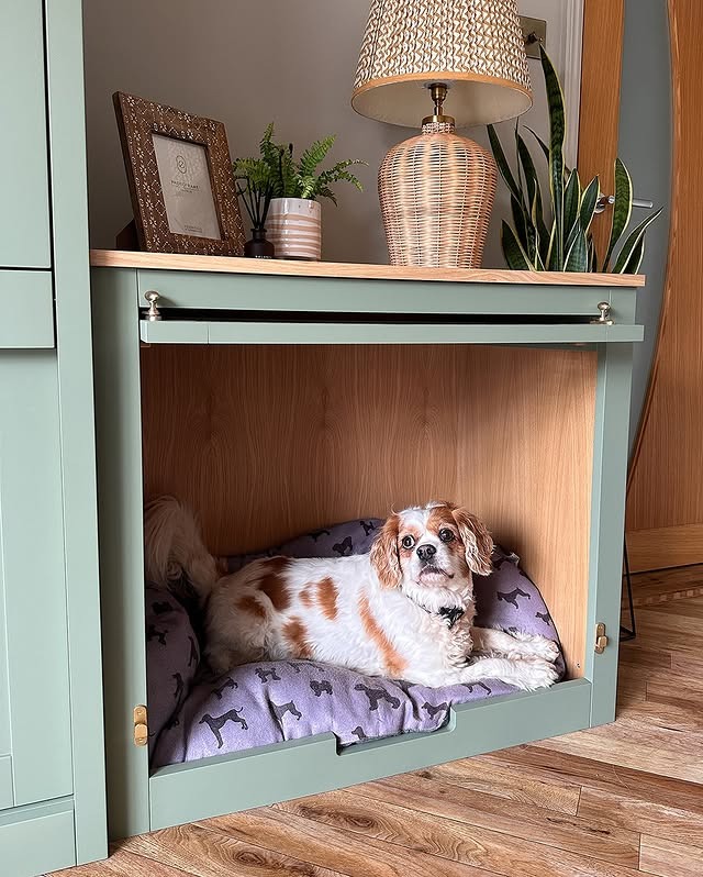 18. Built-In Dog Nook with Sage Green Cabinetry - dog bedroom ideas