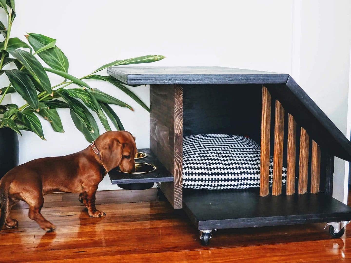 20. Mid-Century Modern Dog House in Black and Walnut - dog bedroom ideas