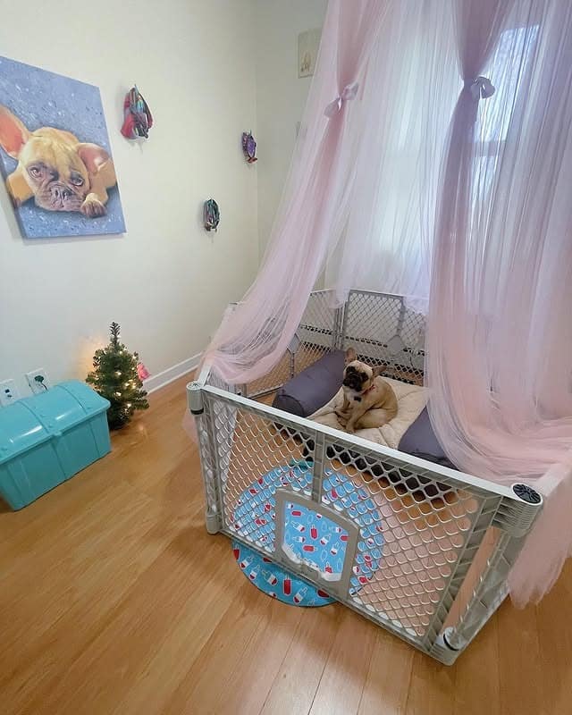 21. Whimsical Puppy Suite with Soft Pink Drapes - dog bedroom ideas