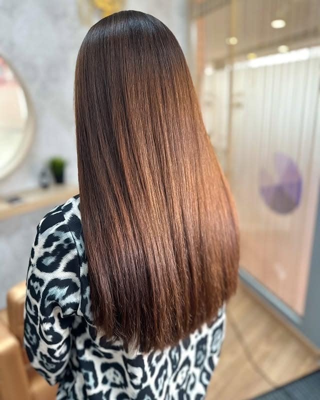 2. Rich Chestnut Luster - Brown Hair Color