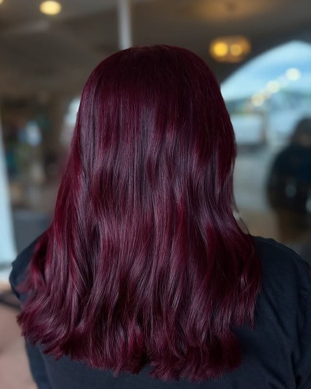 5. Deep Berry Elegance - Wine Hair Color