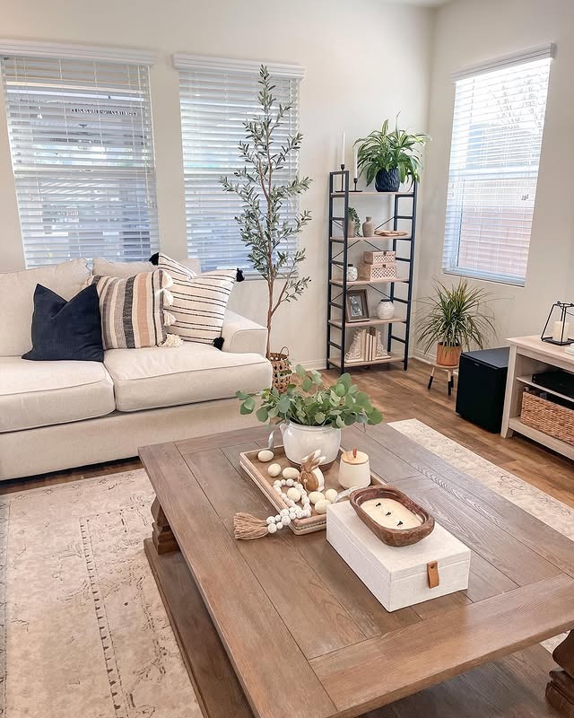 3. Soft Minimalism with Natural Accents - modern farmhouse living room ideas