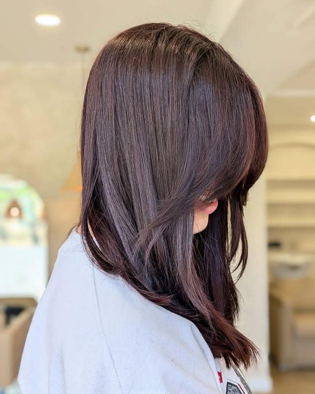 12. Dark Cherry Layers - Red Brown Hair Color