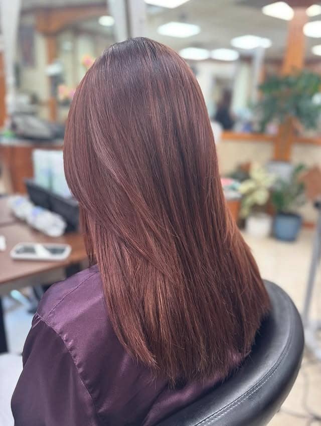 21. Chestnut Satin Straight Cut - Fall Hairstyles