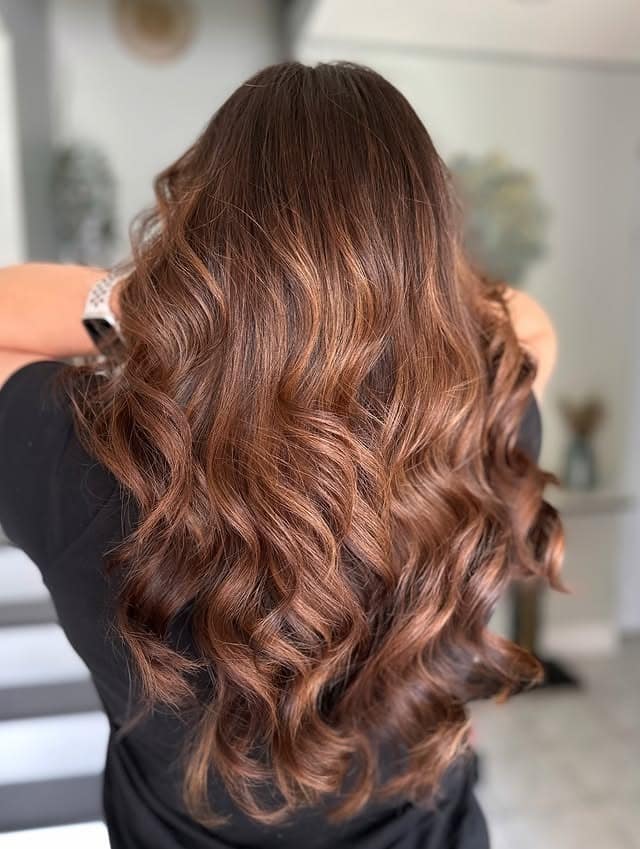 5. Rich Chestnut Curls with Sunlit Warmth - Chestnut Hair Color