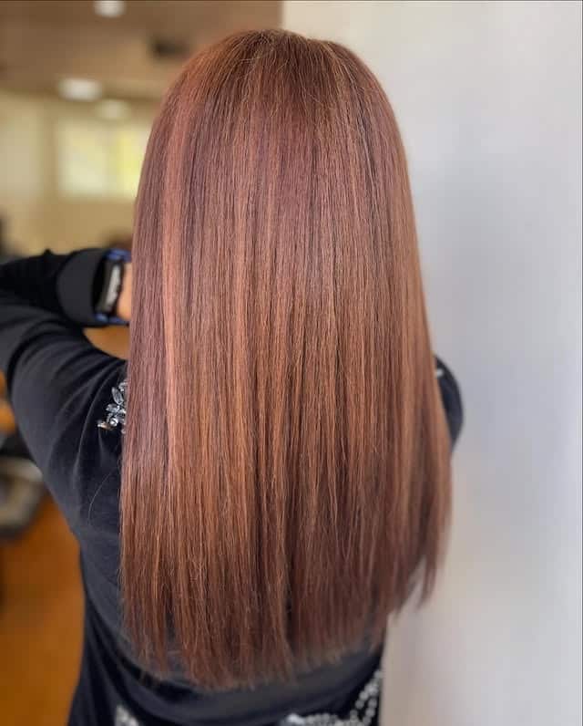 8. Smooth Chestnut Silk Finish - Chestnut Hair Color