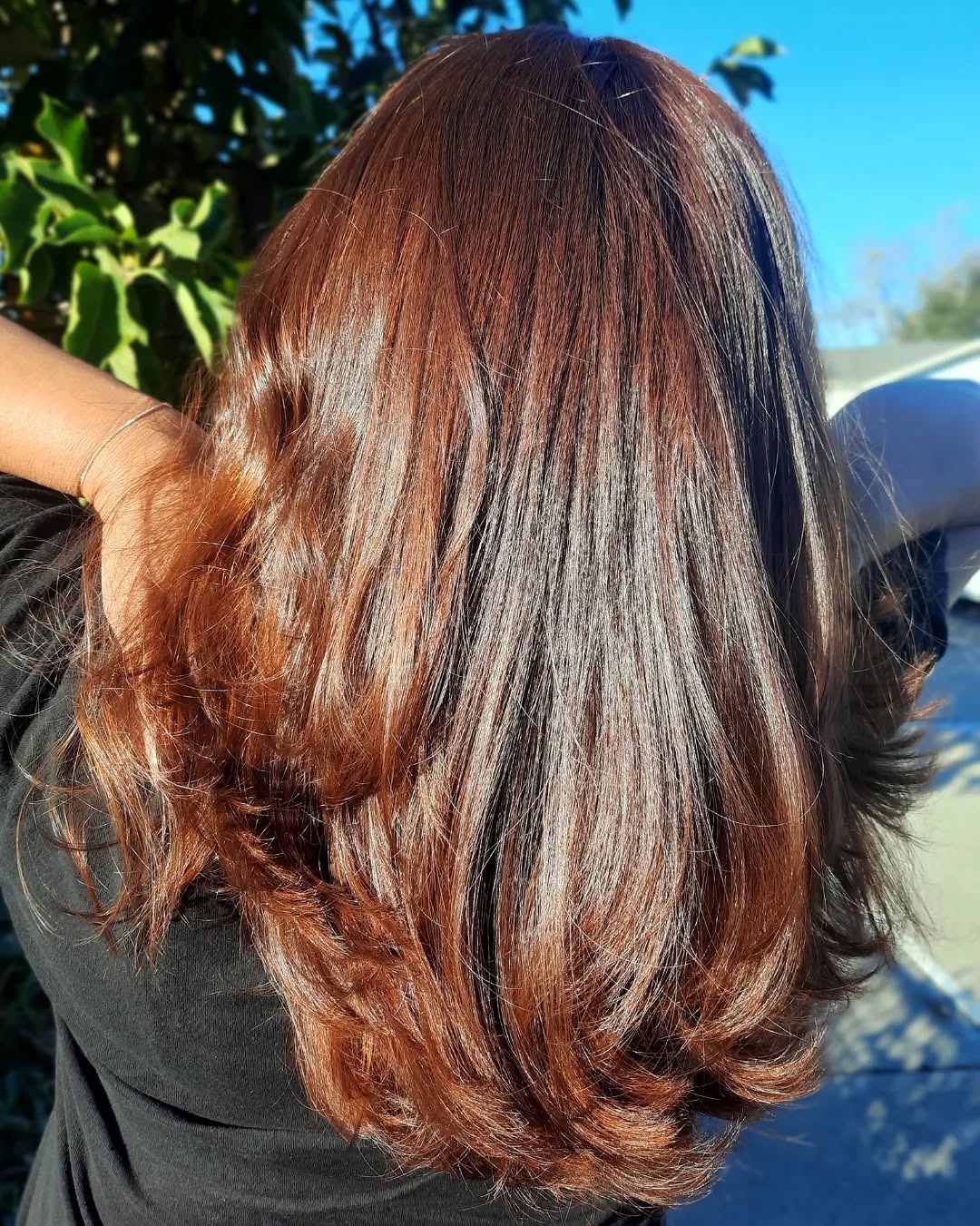 9. Golden Chestnut Layers with Soft Flow - Chestnut Hair Color