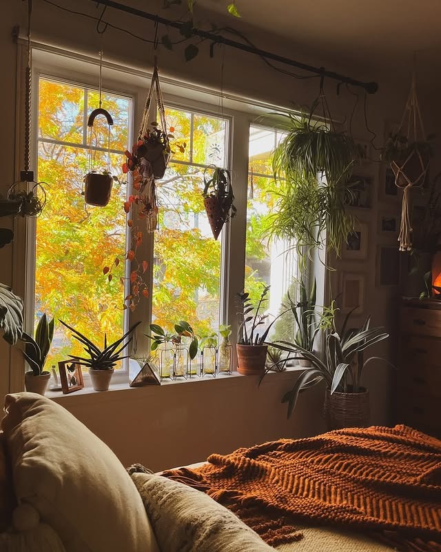 14. Autumn Window Garden With Warm Earth Tones - greenery bedroom ideas