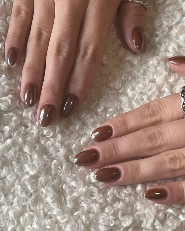 9. Warm Chestnut Simplicity - brown fall nail ideas
