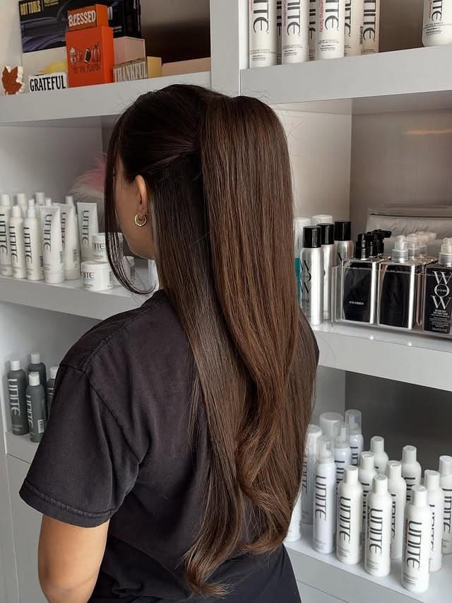 1. Sleek Chestnut Layered Flow - Simple Hairstyles