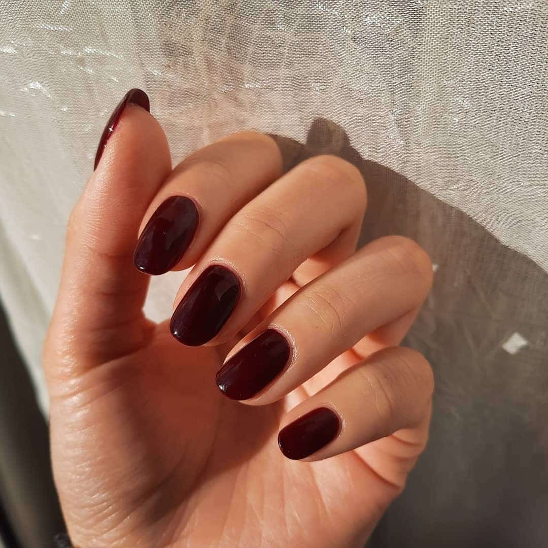 17. Black Cherry Oval Nails - dark color nail ideas