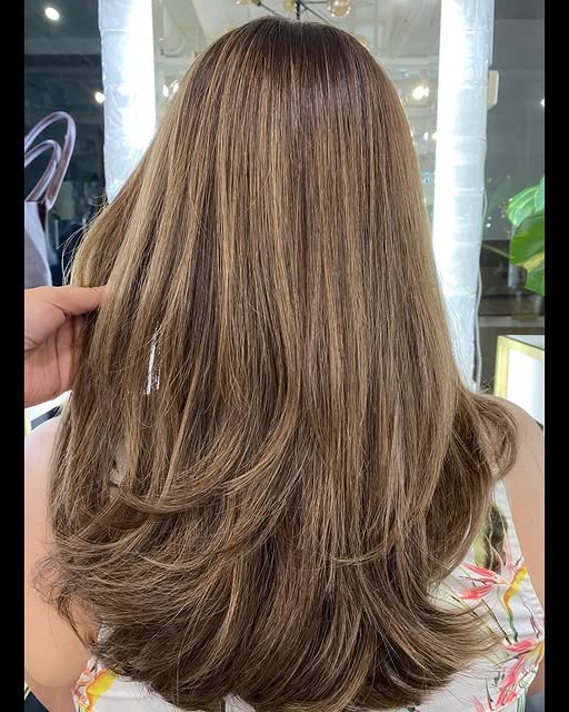 14. Soft Walnut Brown Layers with Natural Highlights - Hair Color with Highlights