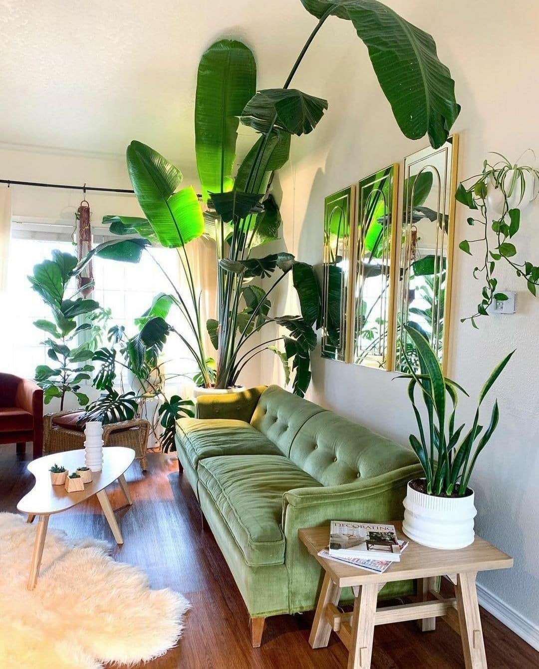 16. Light Green Retro Sofa in a Plant-Filled Sunroom - green couch living room ideas