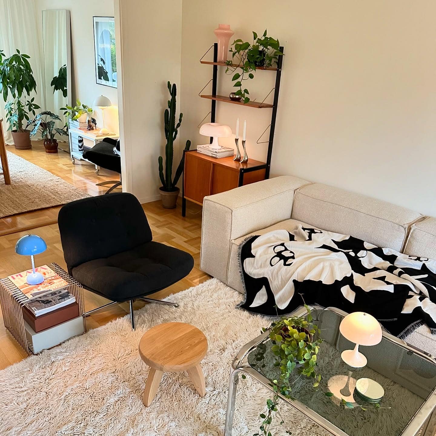 18. Light Wood and Black Accent Shelves in a Relaxed Living Space - living room shelf ideas