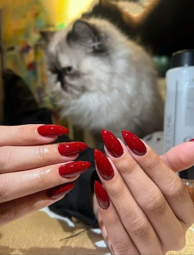 18. Ombre Red Almond Nails with Soft Fade - long red nail ideas