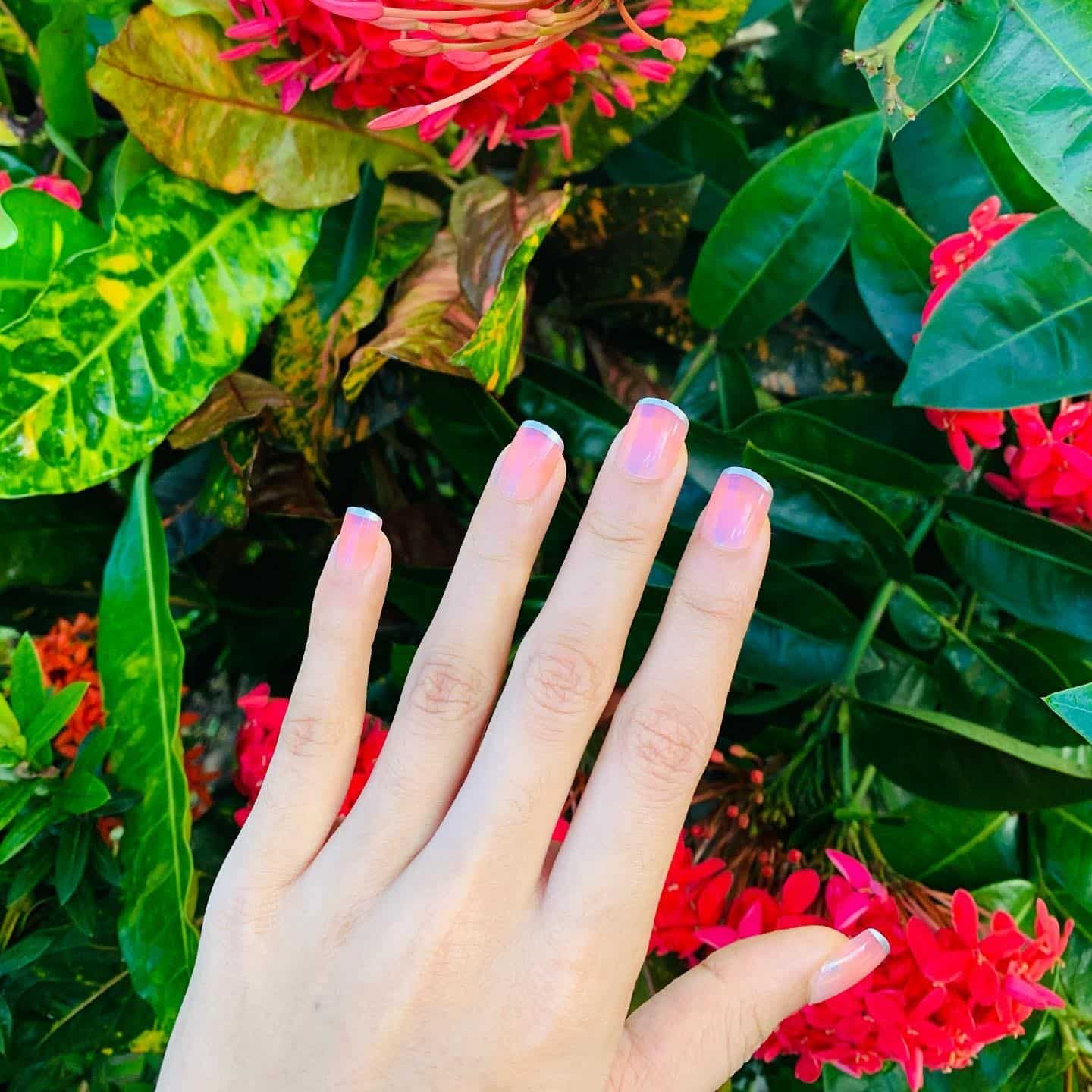 12. Soft Pink Sheer Square Nails - medium length square nail ideas