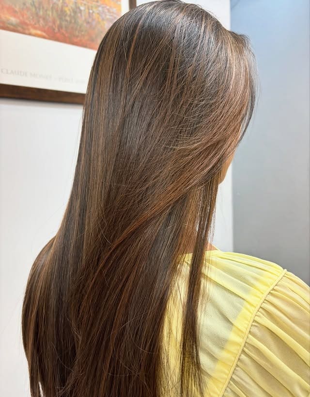 16. Sleek Straight Lengths with Warm Brown Ribbons - Medium Brown Hair with Highlights
