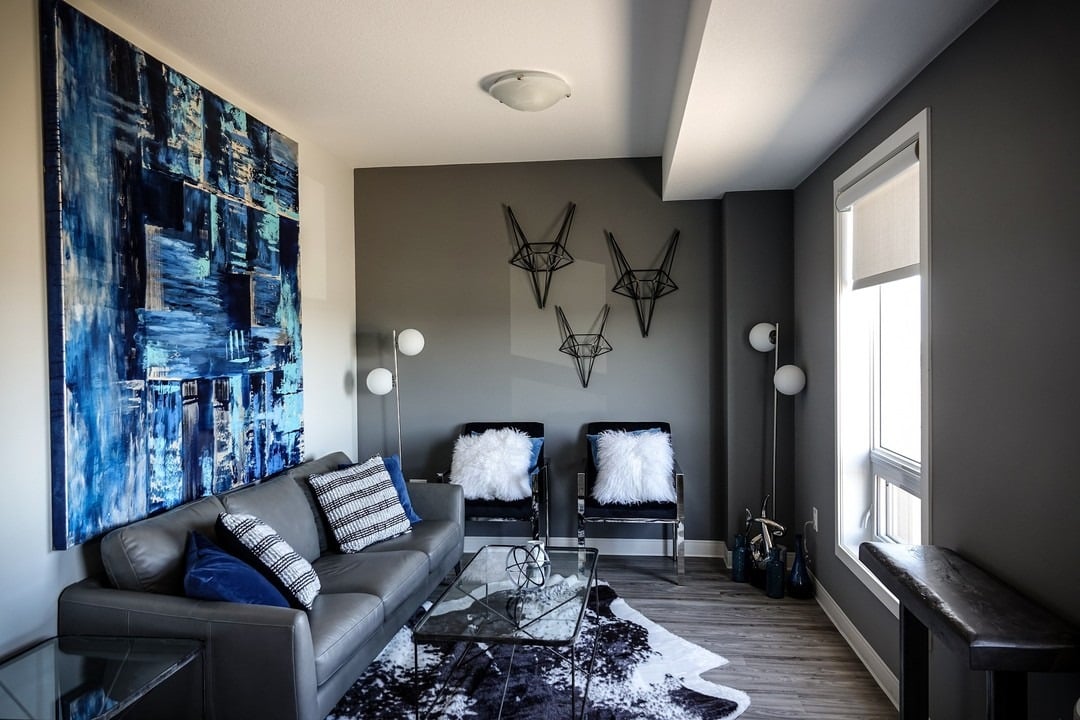 16. Contemporary Dark Grey Living Room with Graphic Art - dark grey living room ideas