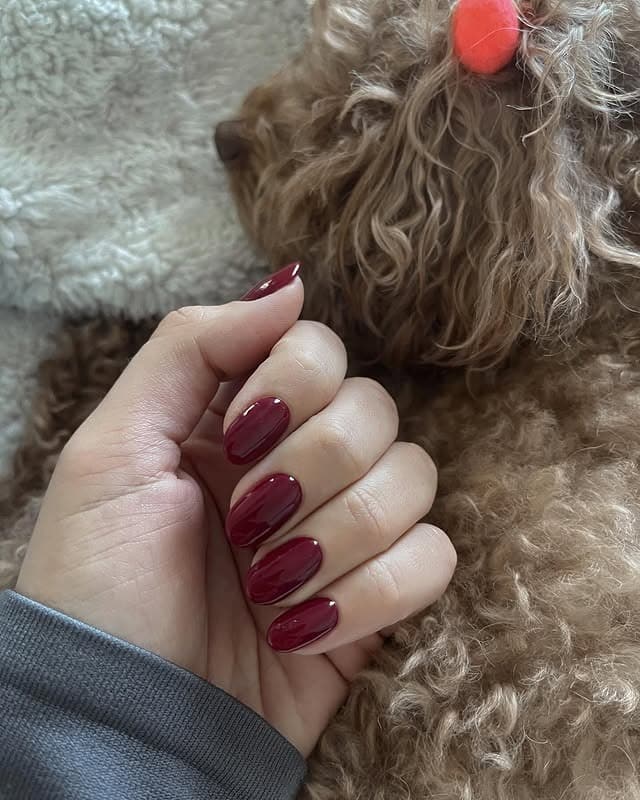 20. Wine Red Short Oval Nails - plain nail ideas