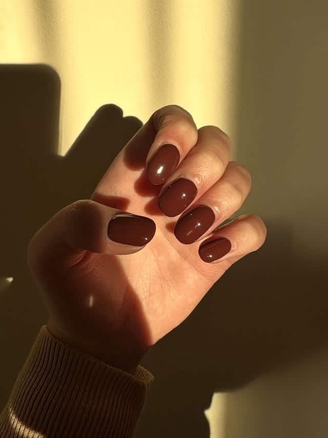 9. Deep Brown Short Nails with Sheer Striping - short brown nail ideas