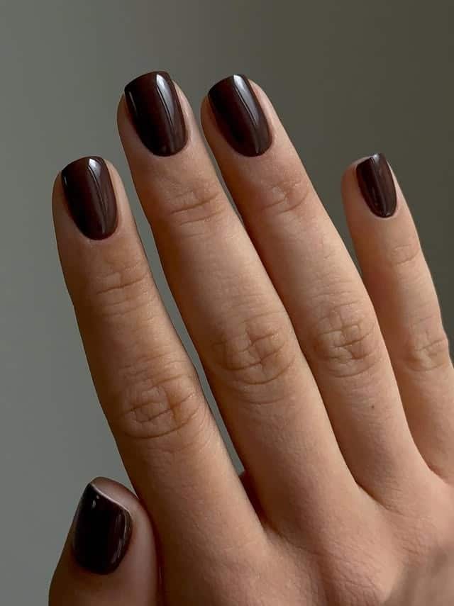 10. Dark Cocoa Short Rounded Nails - short brown nail ideas