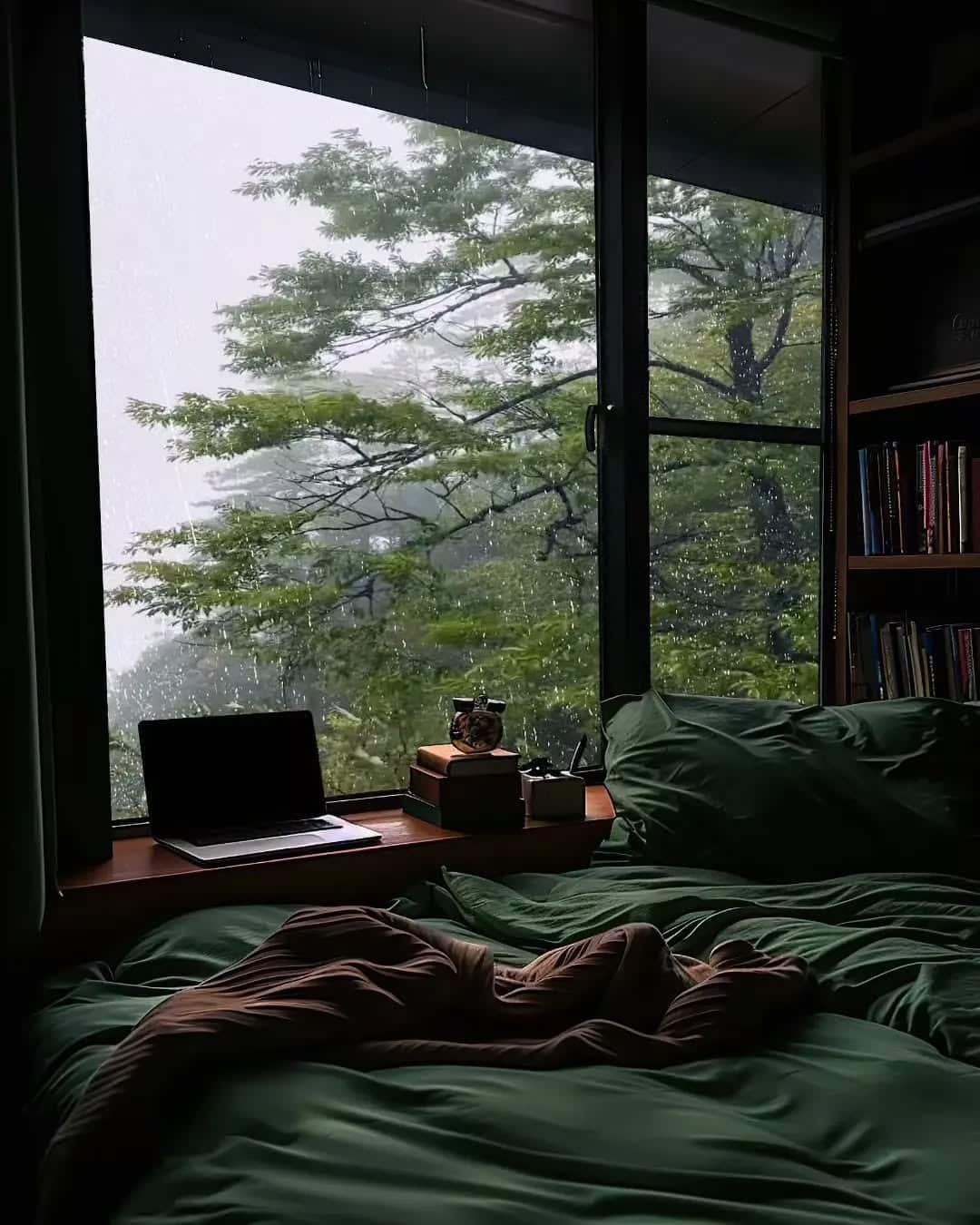 14. Dark Green Bedroom Framed by Expansive Windows - dark green bedroom ideas