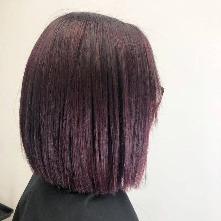 3. Sleek Plum Burgundy Blunt Bob - Dark Burgundy Hair Color