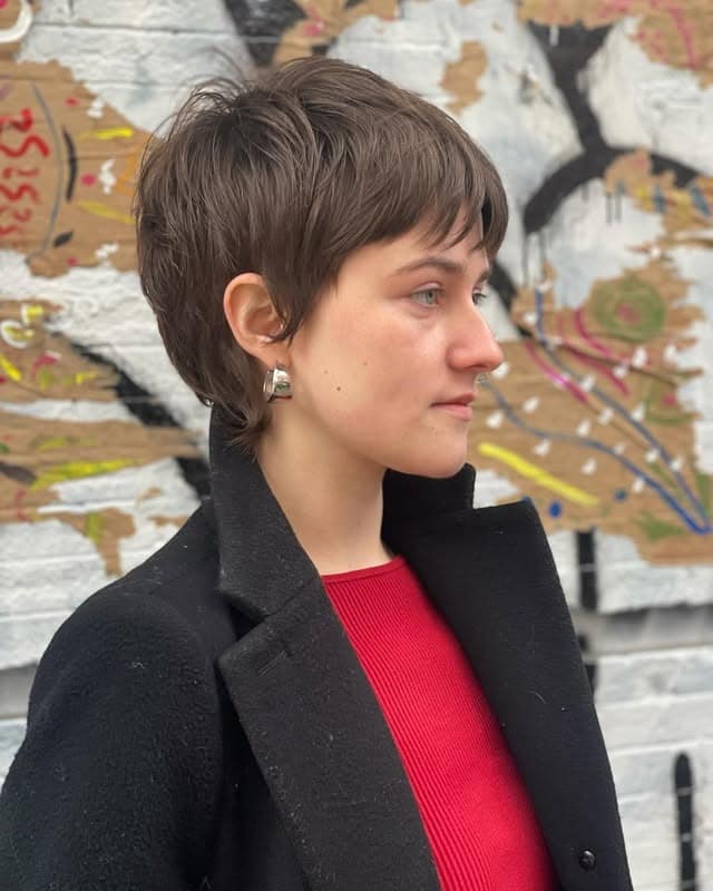 18. Cool Mushroom Brown Classic Pixie Shag - Shaggy Pixie Haircut