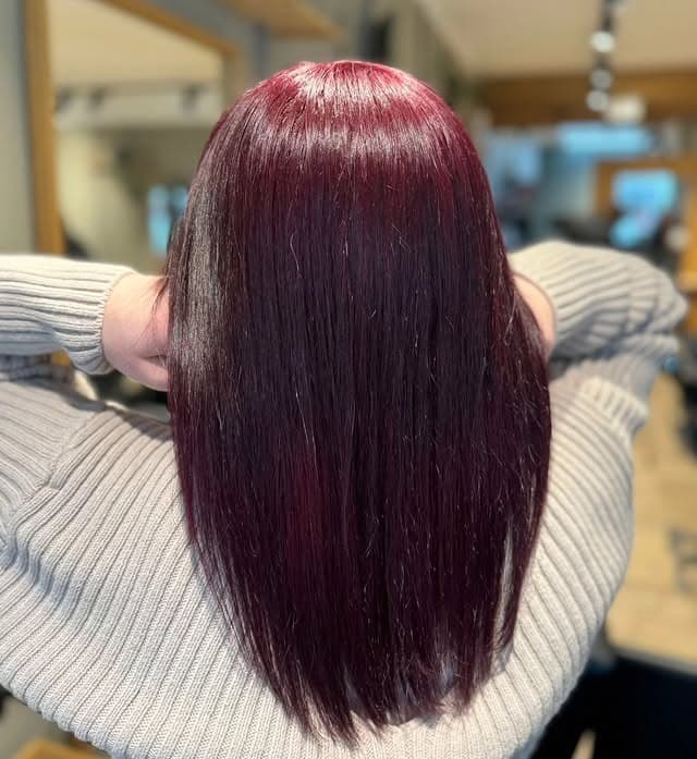 14. Mulled Wine Glass Hair - Dark Red Hair Color