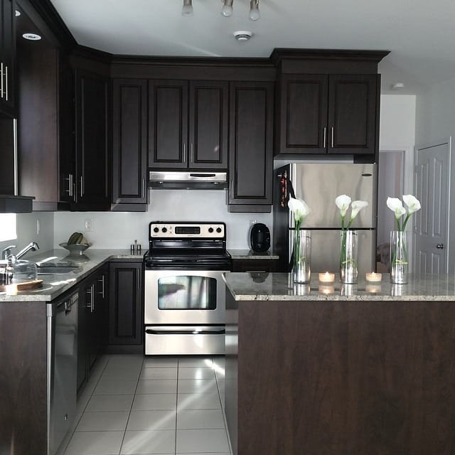 7. Espresso Stained Cabinets with Granite Surfaces - dark kitchen cabinet ideas