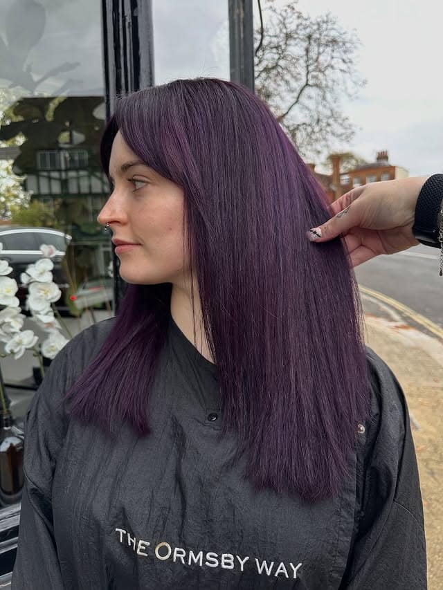 15. Smoky Plum Straight Layers - Purple Hair Color