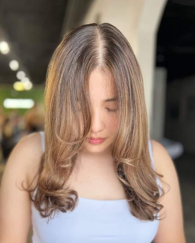 22. Soft Beige Brown Layered Blowout - Birthday Hairstyles