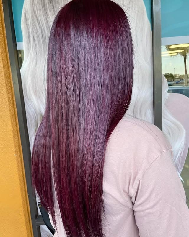 7. Sleek Dark Plum Straight Hair - Plum Hair Color