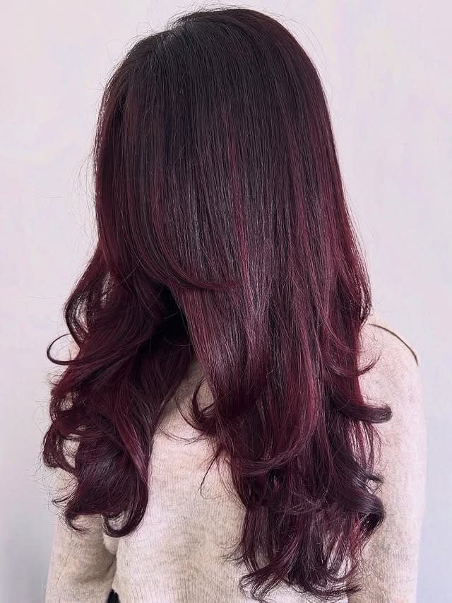 10. Dimensional Plum Layered Hair - Plum Hair Color