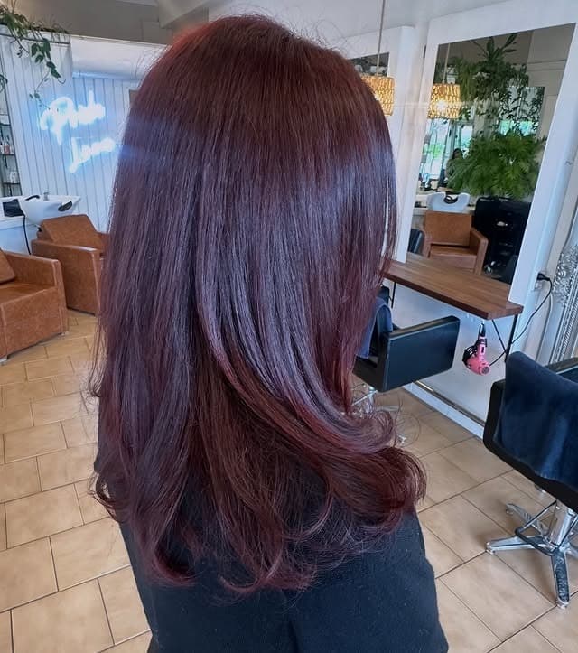 13. Burgundy Plum Long Layers - Plum Hair Color