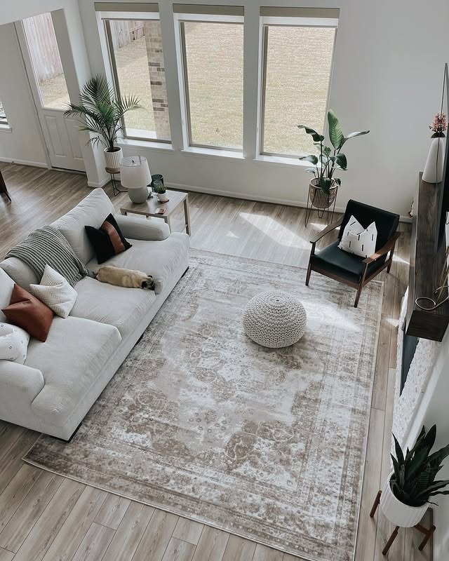 6. Soft Contemporary Living Room with Layered Textiles and Light Flooring - large living room ideas